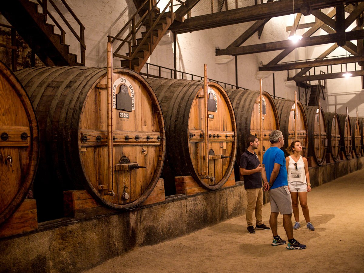 Eat, Drink, and Hike Your Way Through Portugal’s Douro Wine Region